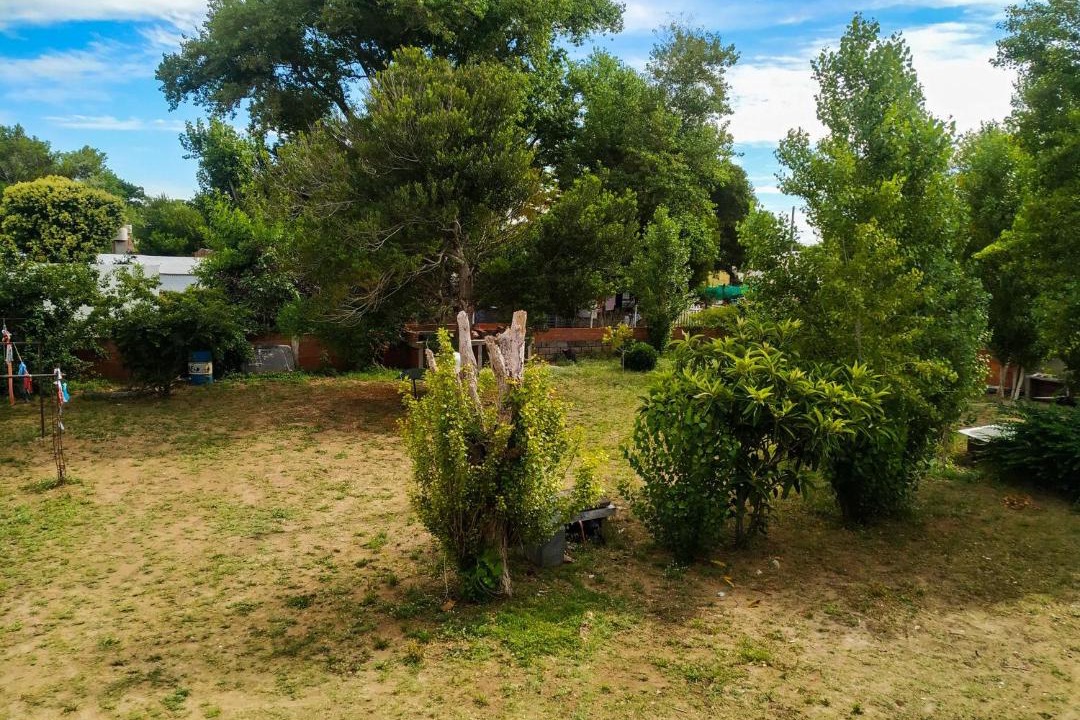 Photo of Others in Mar de Ajo