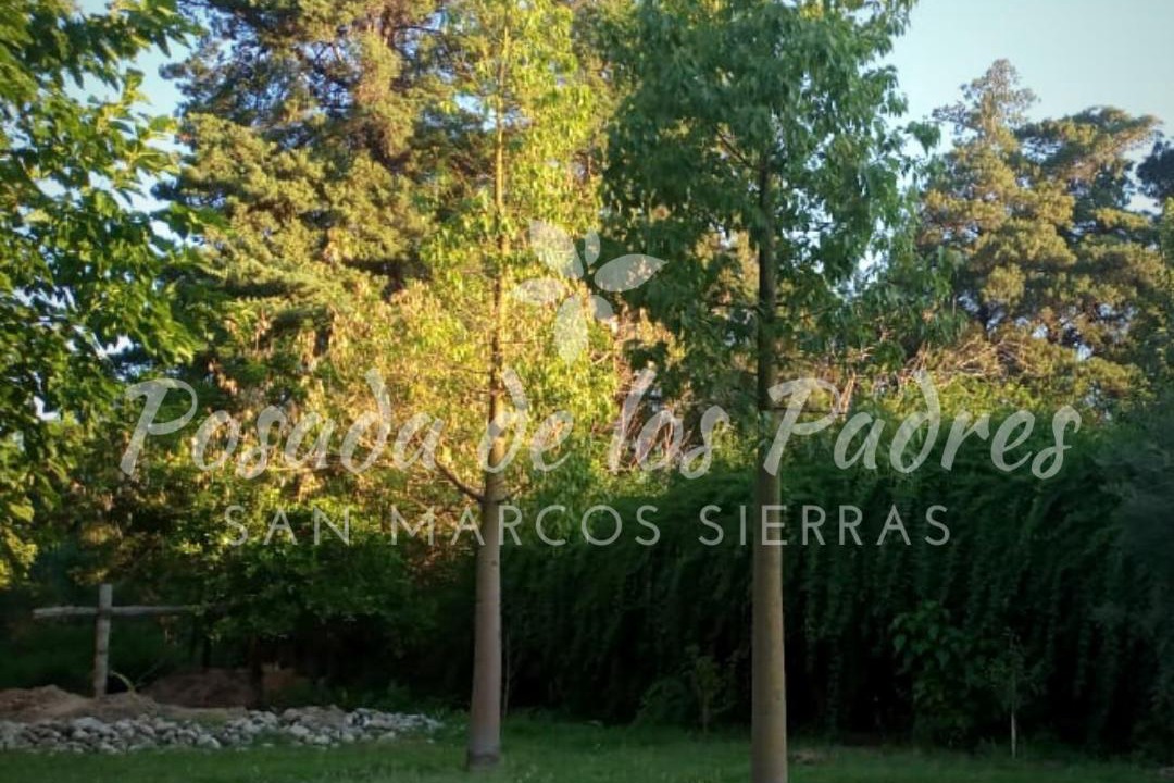 Photo of Others in San Marcos Sierra