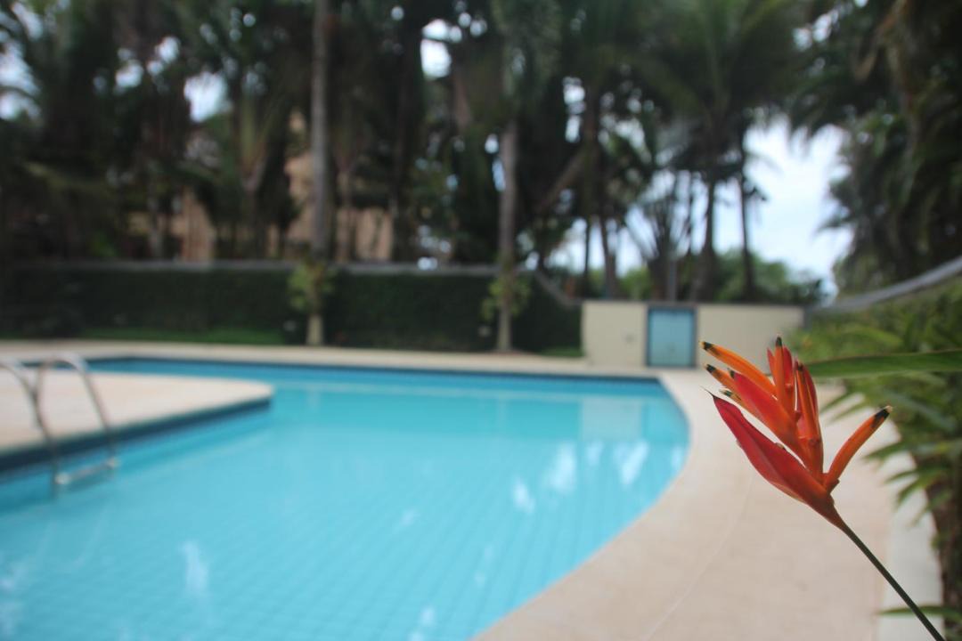 Photo of Others in Guarutuba