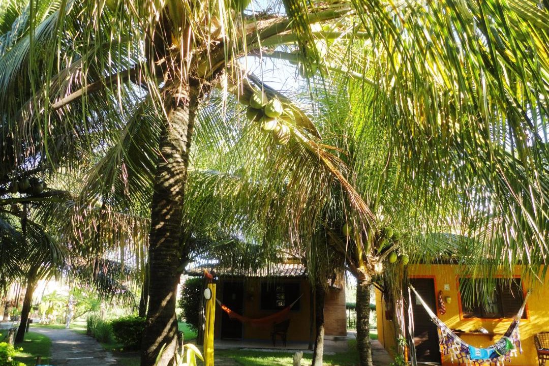 Photo of Others in Maracajau