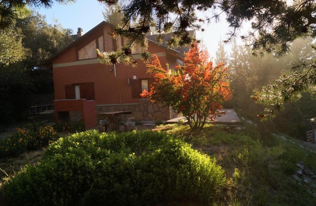 Photo of Others in Villa Pehuenia