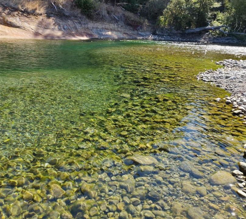 Photo of Others in Lago Puelo