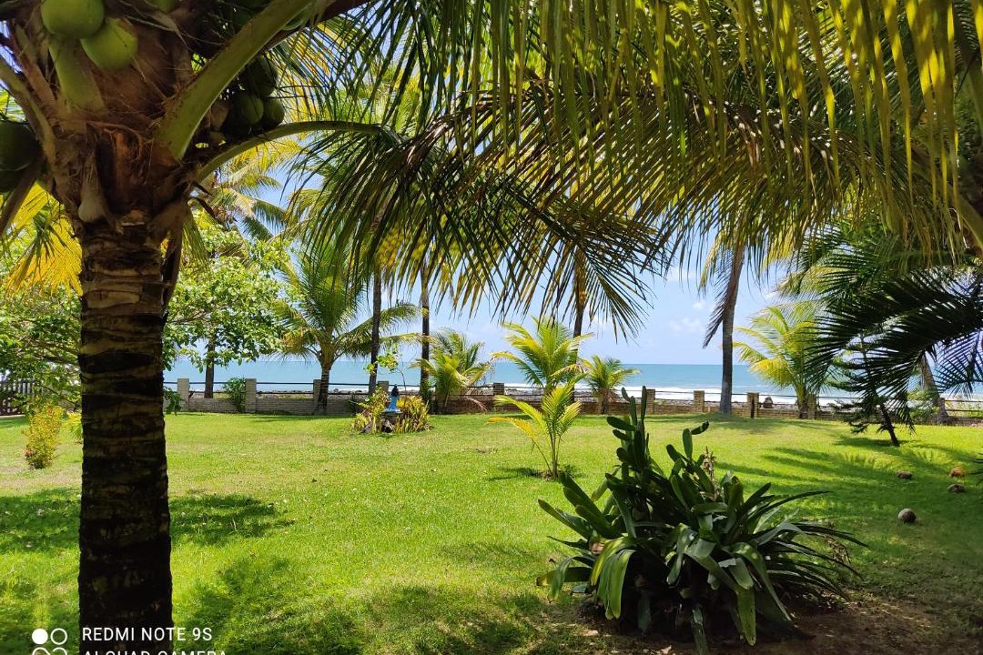 Photo of Others in Barra de Tabatinga