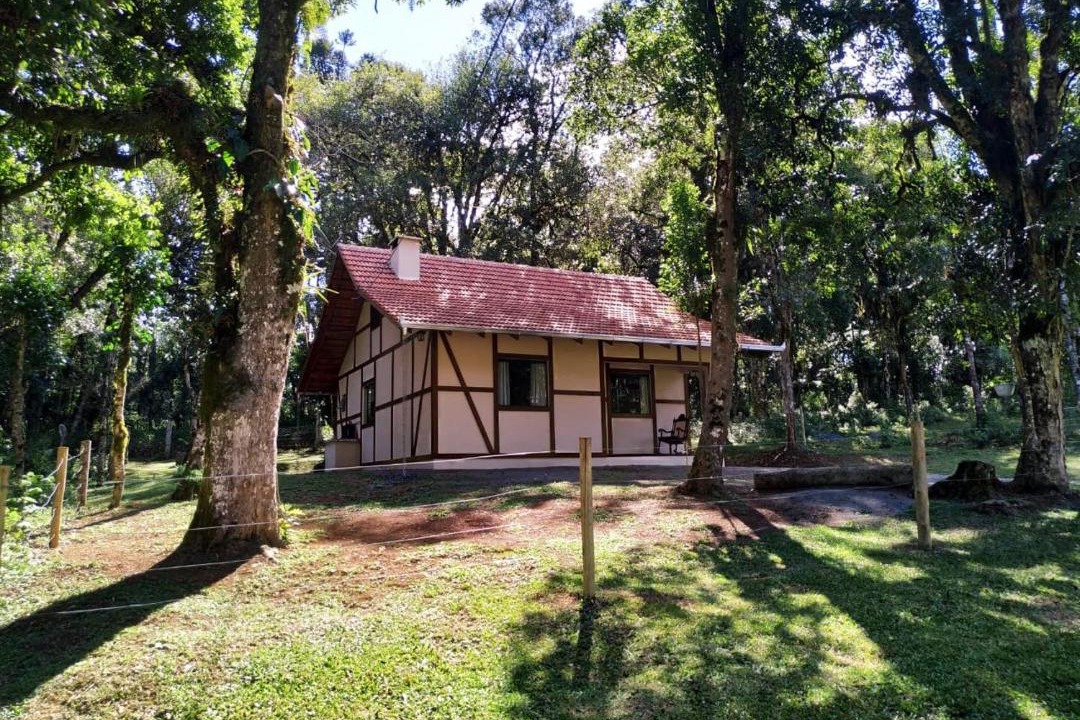 Photo of Others in Campo Alegre