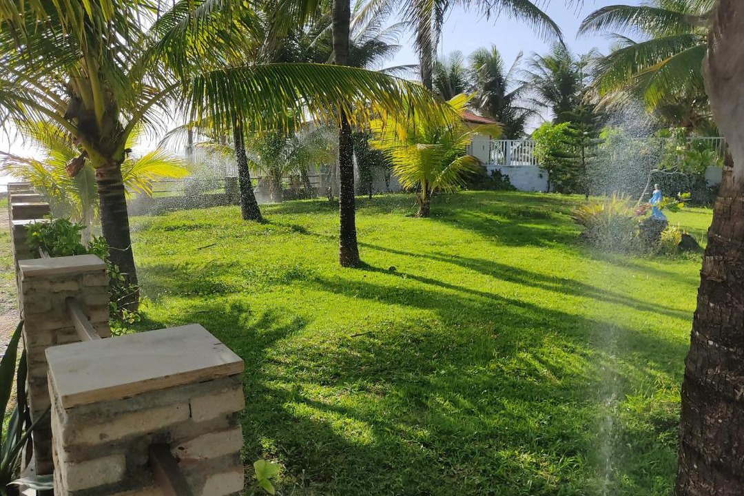 Photo of Others in Barra de Tabatinga