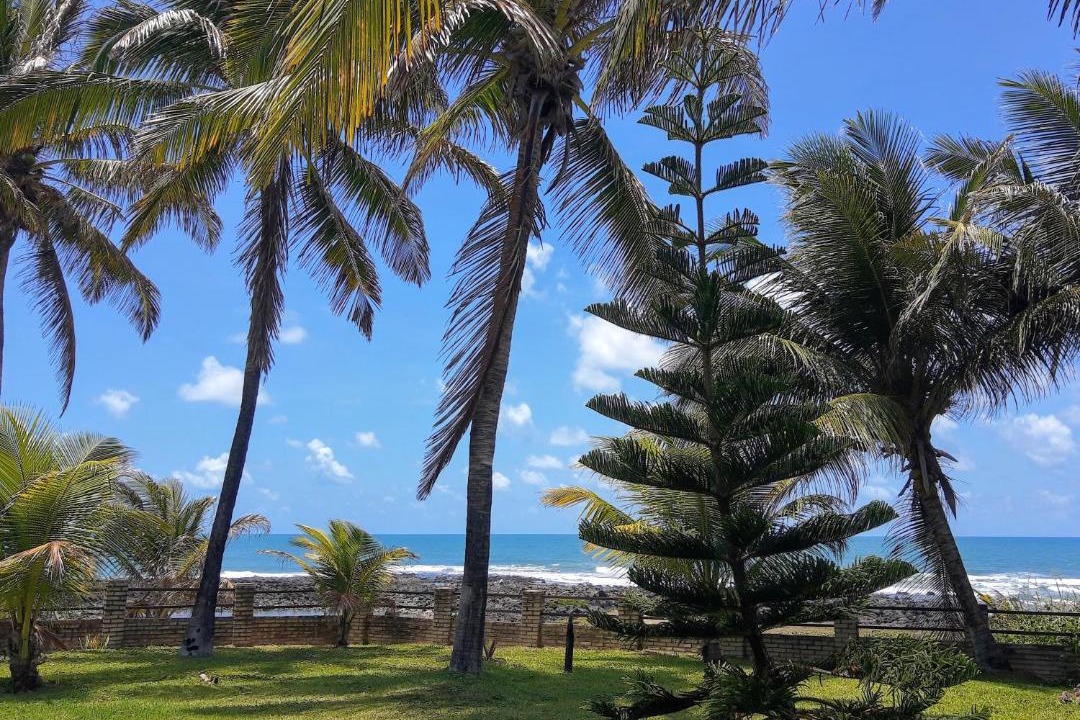 Photo of Others in Barra de Tabatinga
