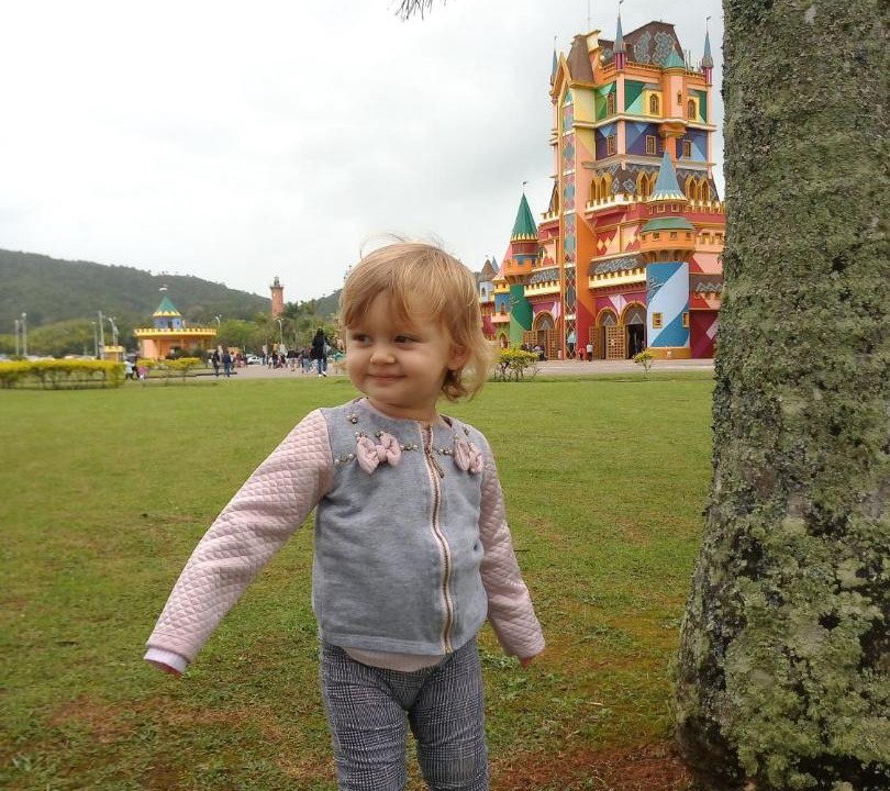 Photo of Others in Praia da Armacao do Itapocoroi