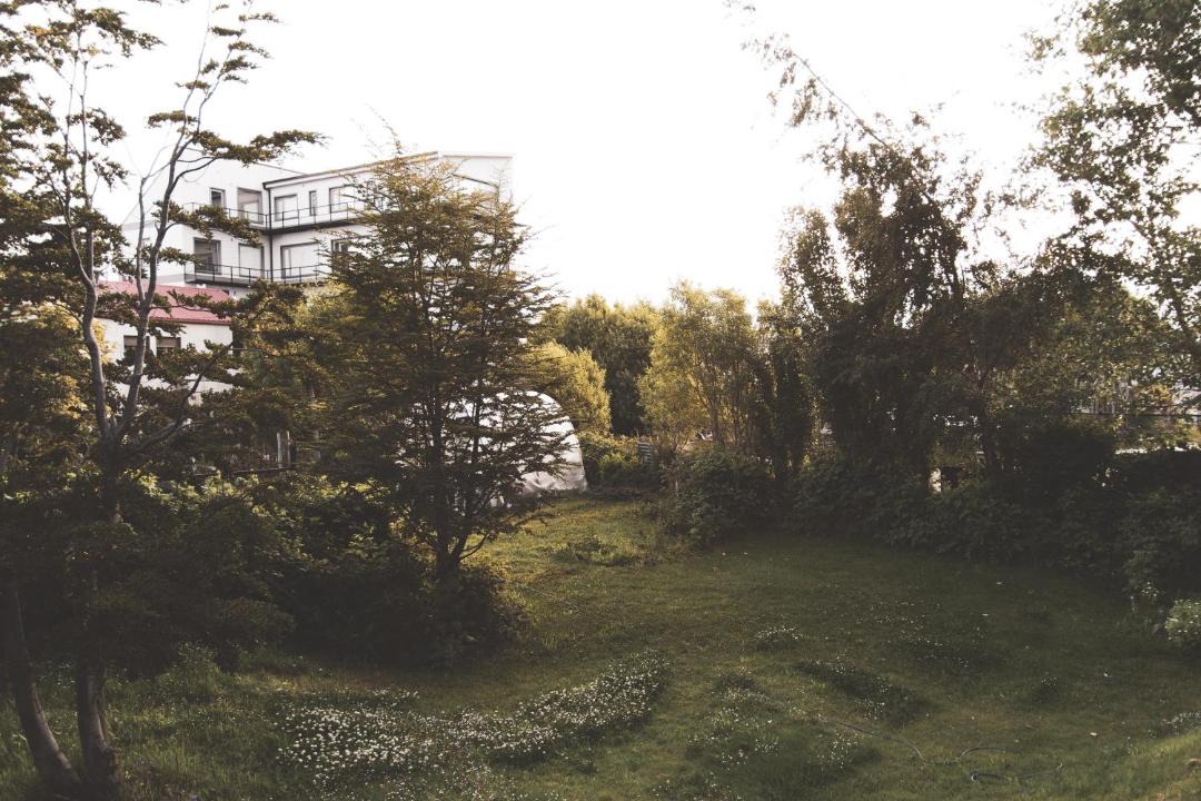 Photo of Others in Province of Tierra del Fuego
