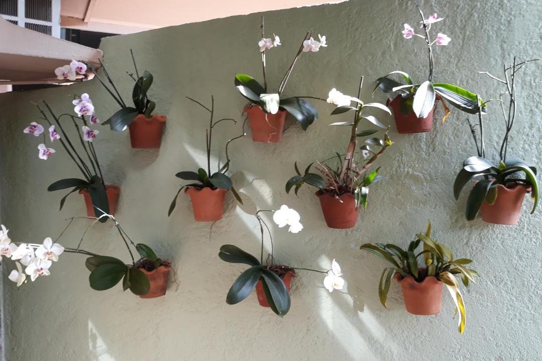 Photo of Others in Barretos
