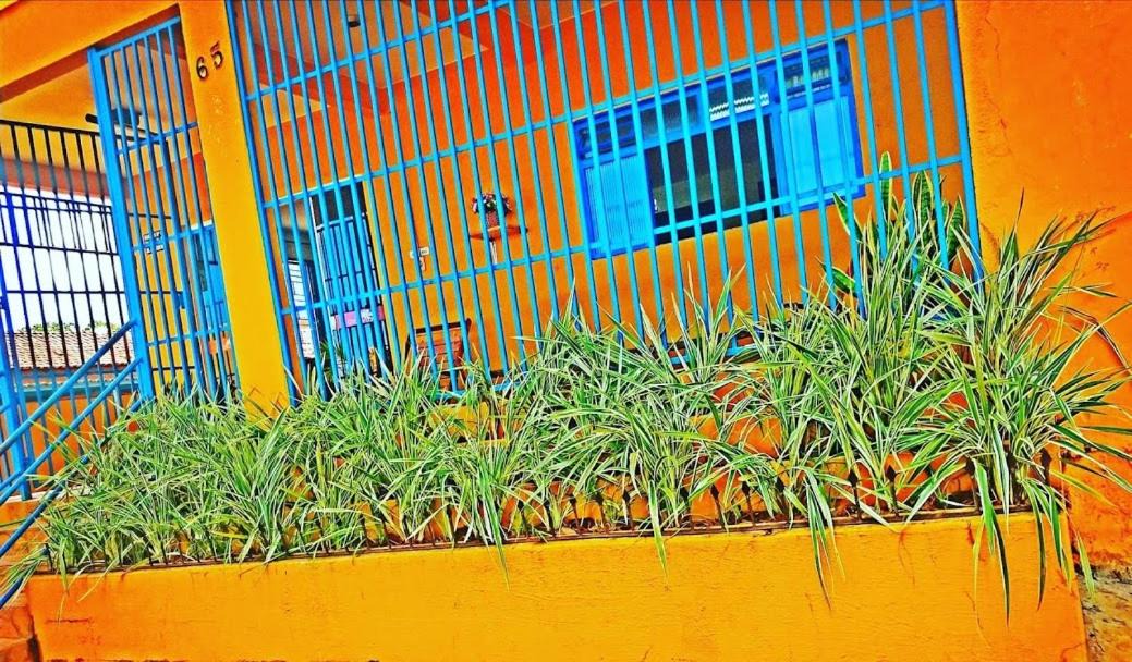 Photo of Others in Rio Verde