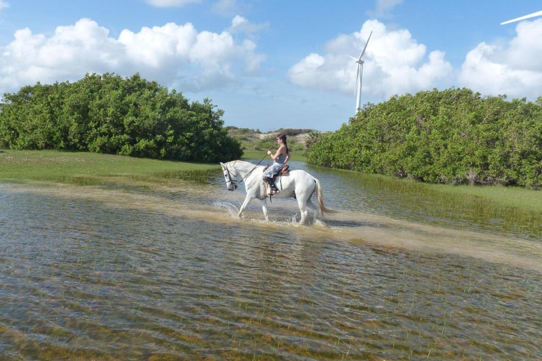 Photo of Outdoor in Parajuru