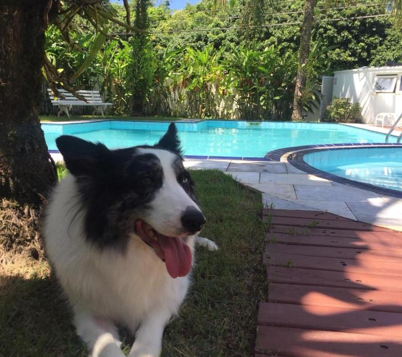 Photo of Others in Maresias
