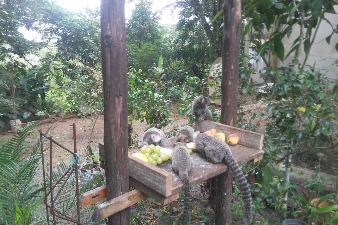 Photo of Others in Itanhaem