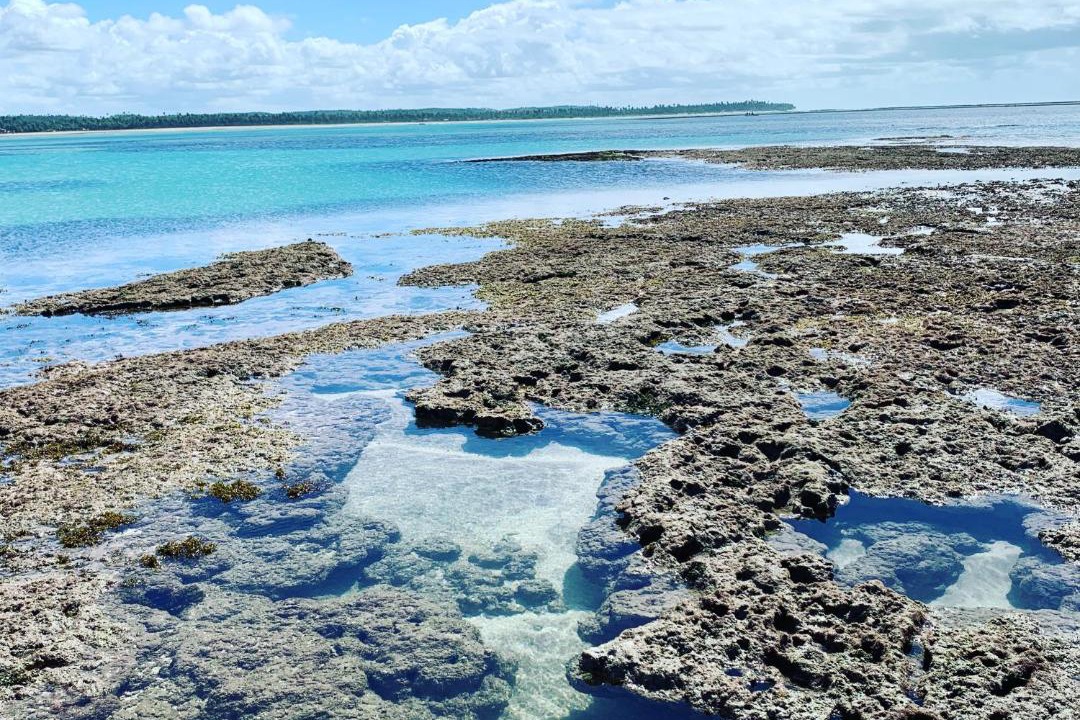 Photo of Others in Tatuamunha