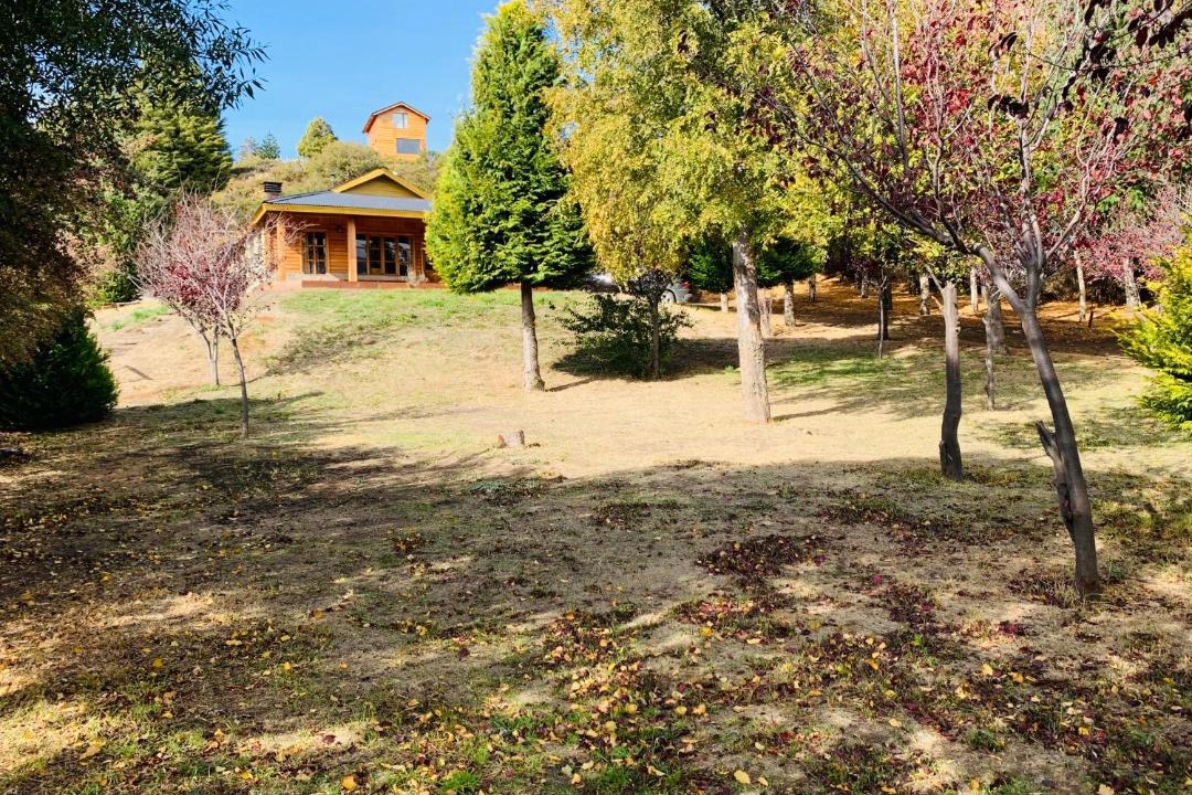 Photo of Others in Junin de los Andes