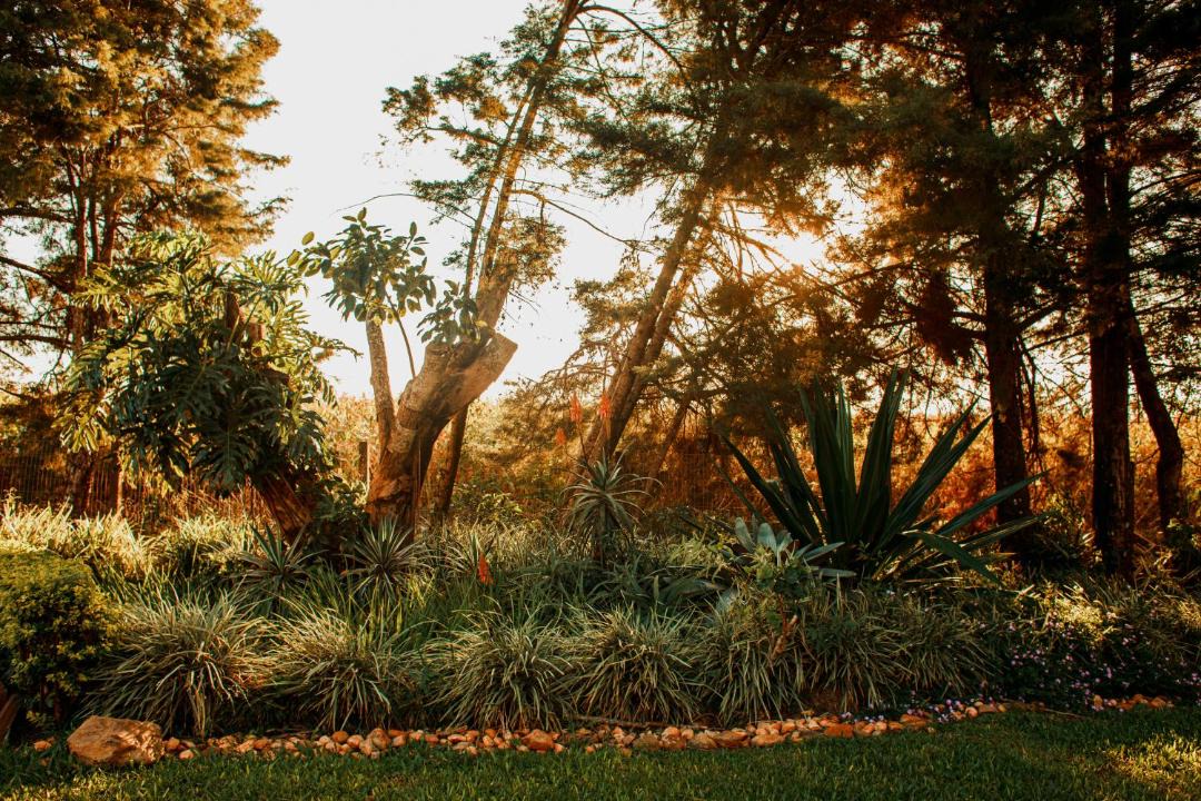 Photo of Others in Girua