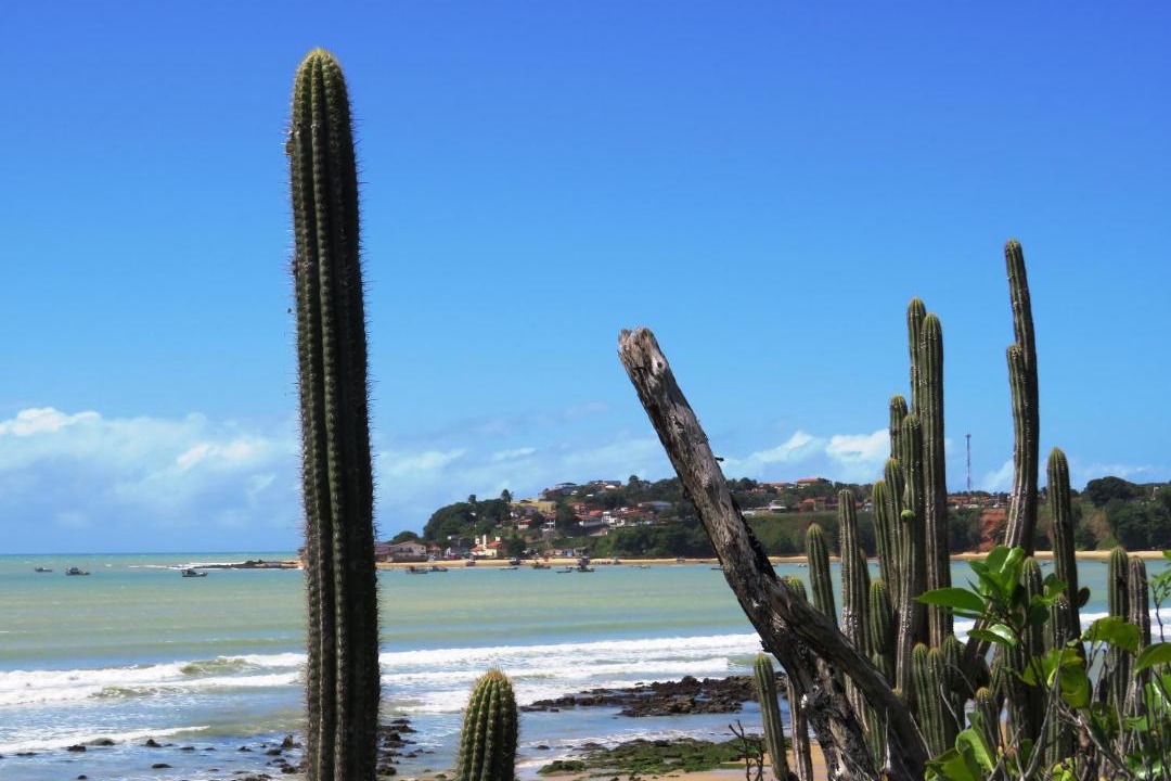 Photo of Others in Baia Formosa
