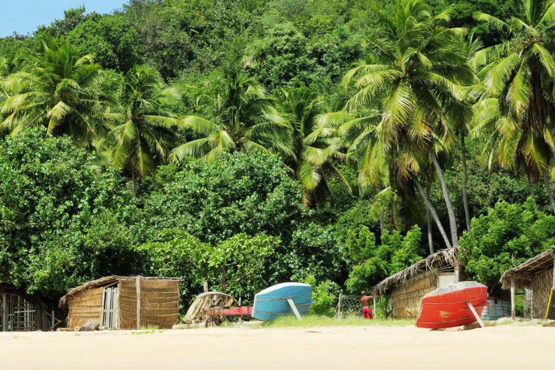 Photo of Others in Baia Formosa