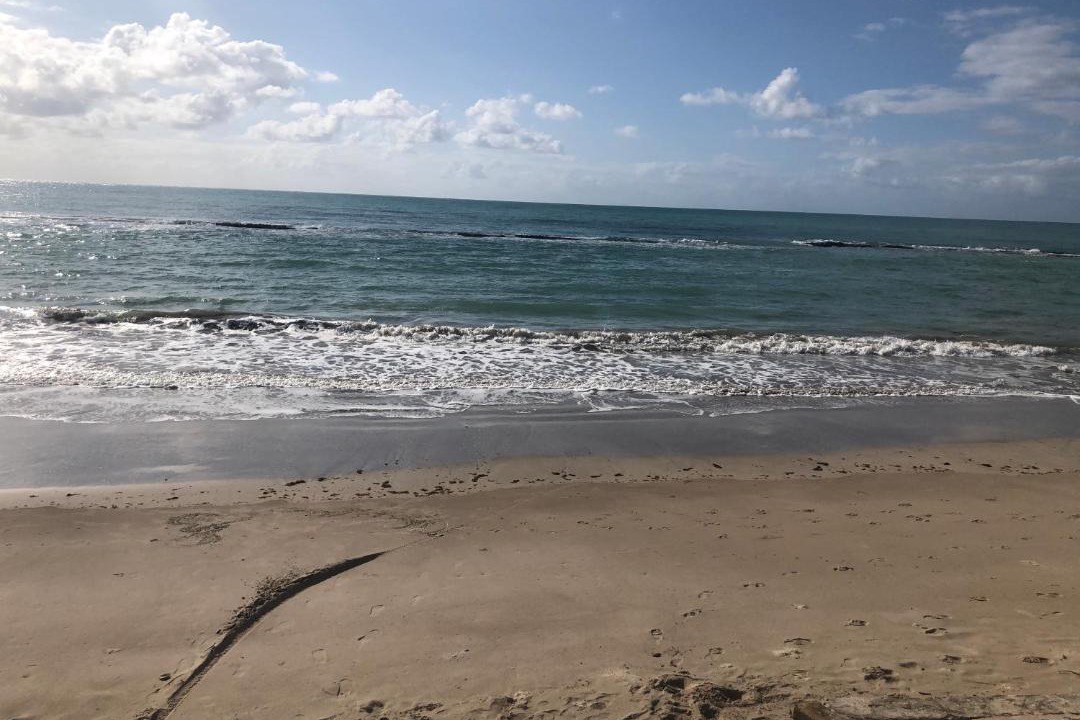 Photo of Outdoor in Tamandare
