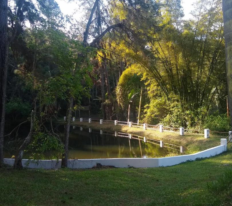 Photo of Outdoor in Sao Lourenco da Serra