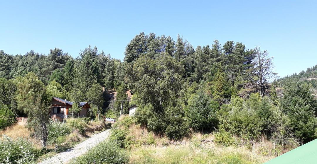 Photo of Others in Lago Puelo