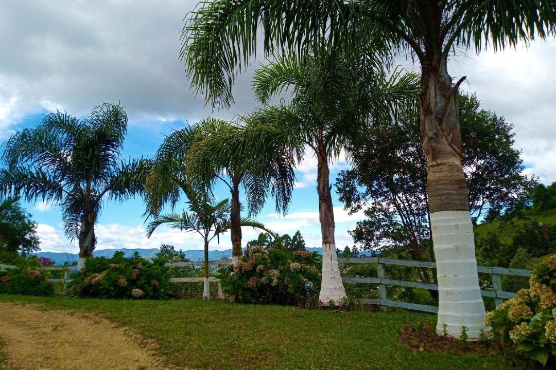 Photo of Others in Aguas Mornas