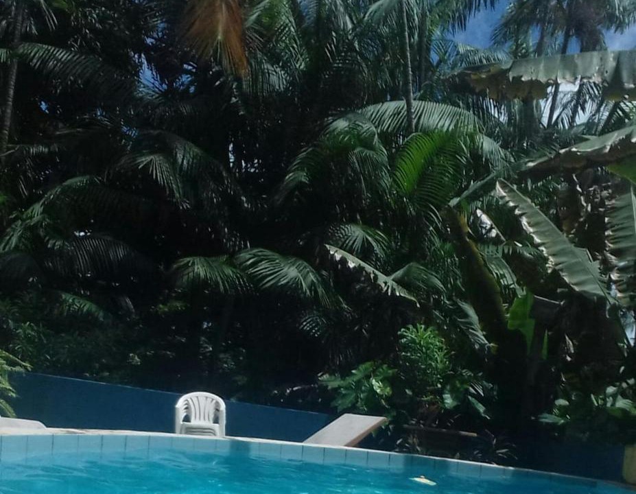 Photo of Others in Olho D'agua
