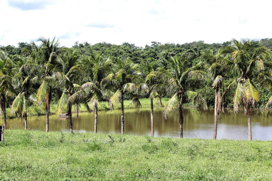 Photo of Others in Barretos