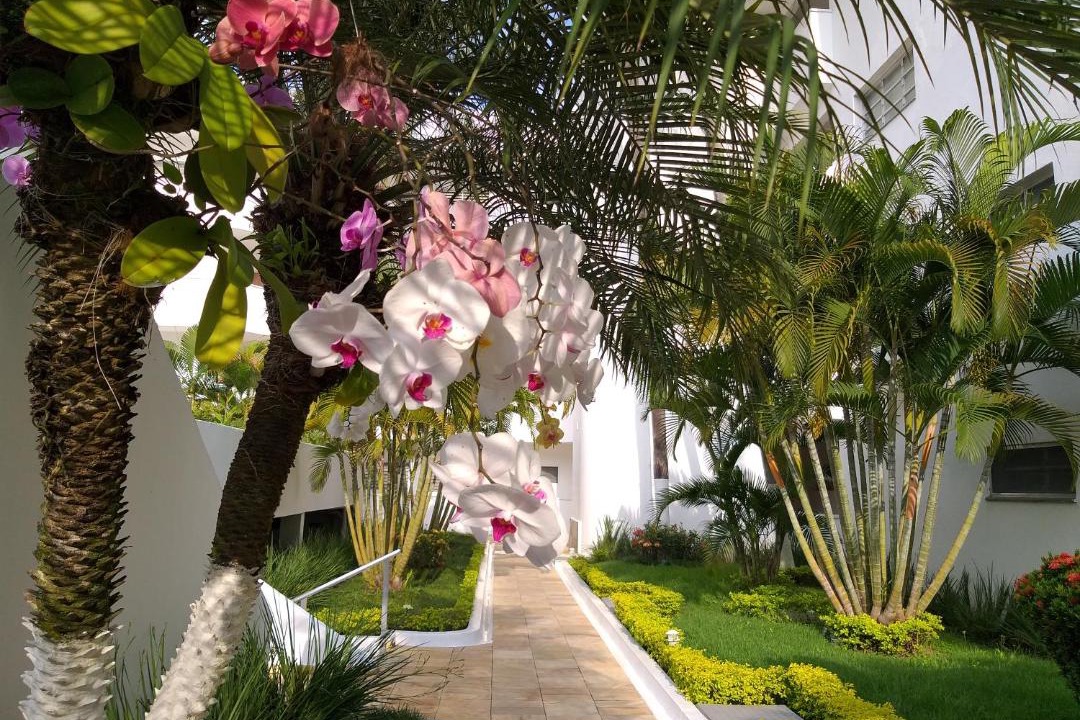 Photo of Others in Jardim Vitoria