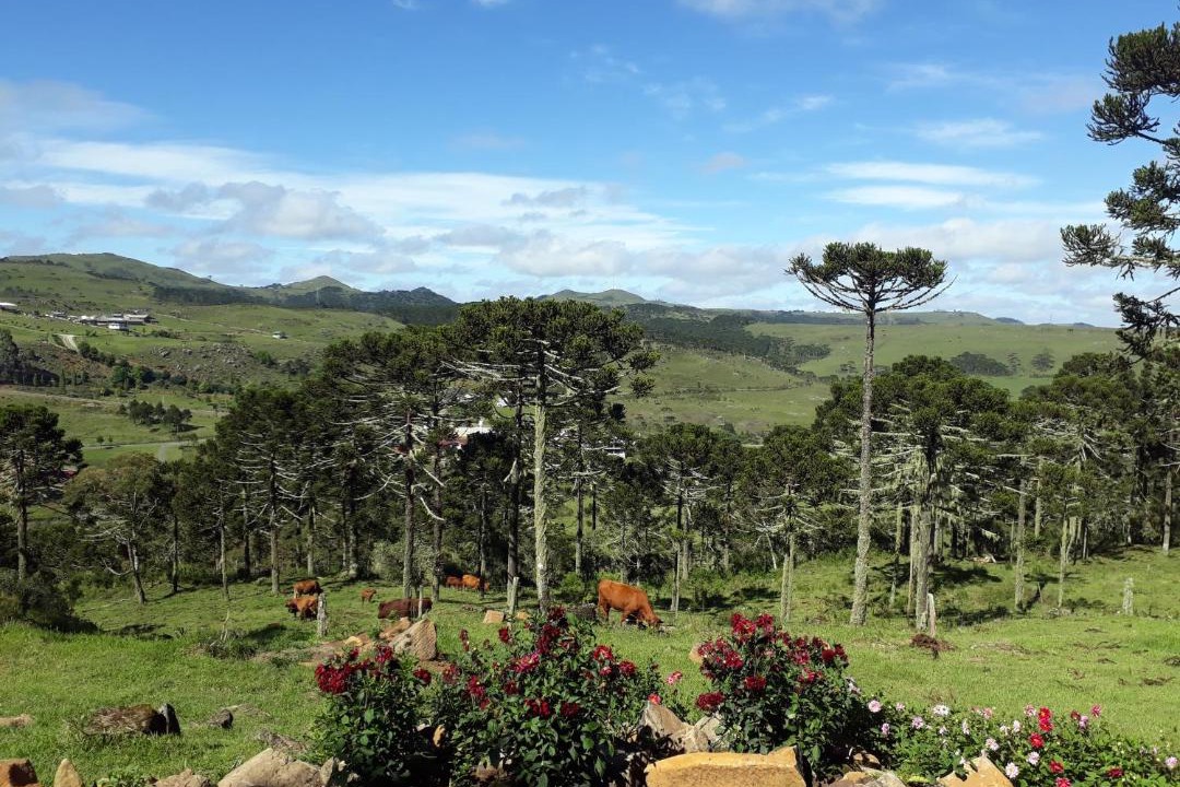 Photo of Others in Bom Jardim da Serra