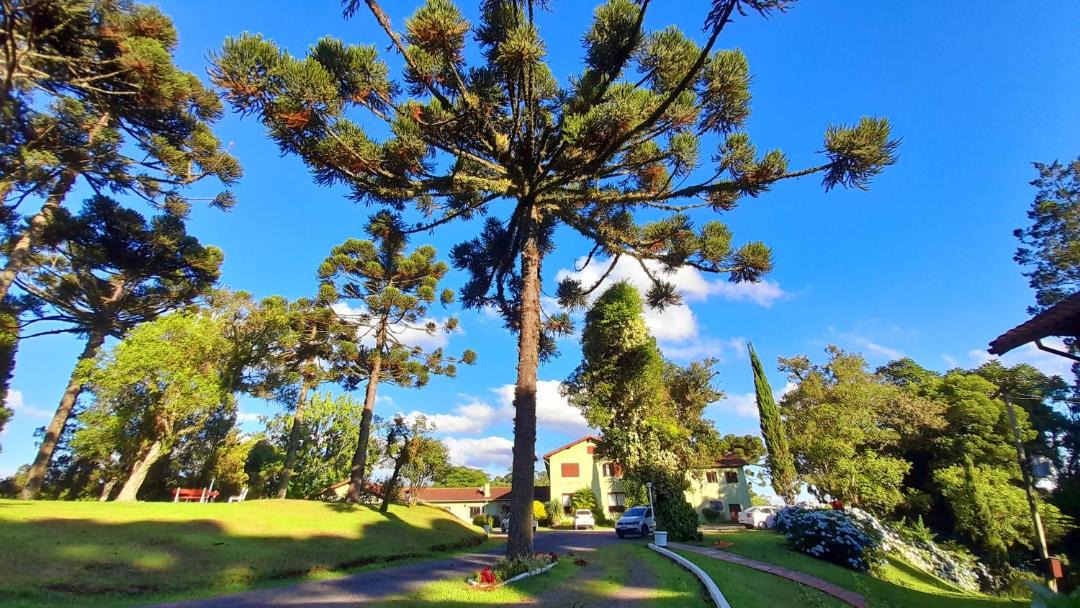 Photo of Others in Floresta
