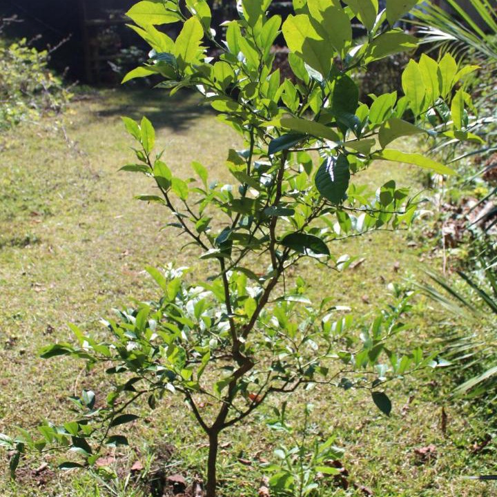 Photo of Outdoor in Vila Iara