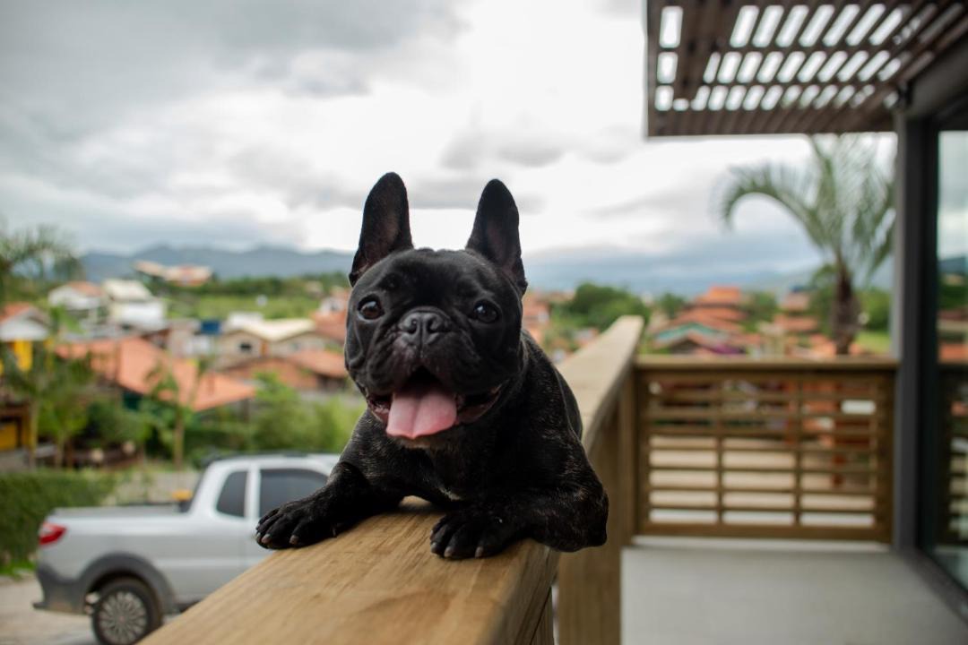 Photo of Others in Praia do Rosa