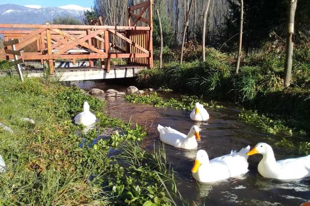 Photo of Others in Lago Puelo