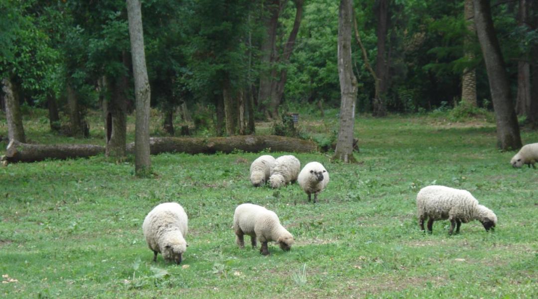 Photo of Others in Partido de Roque Perez