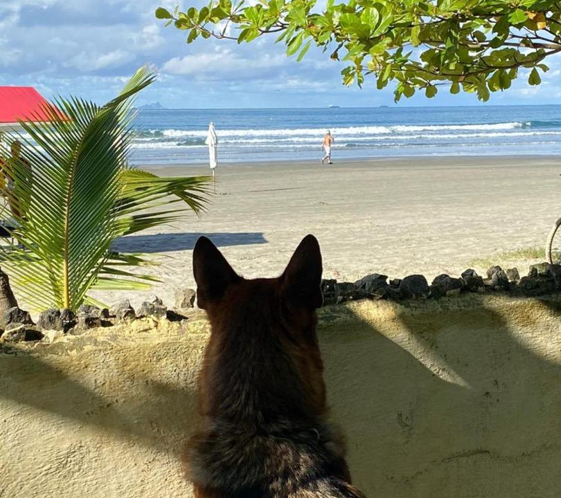 Photo of Others in Praia de Barequecaba