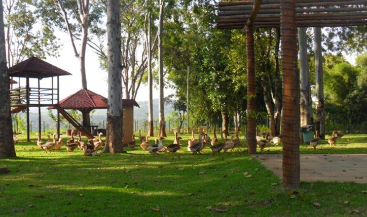 Photo of Others in Belo Oriente