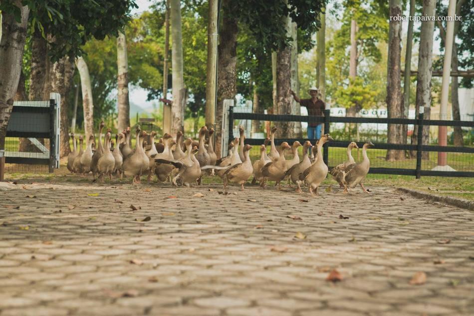 Photo of Others in Belo Oriente