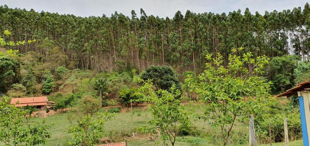 Photo of Outdoor in Cunha