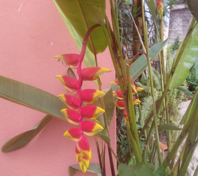 Photo of Others in Vila Colonial