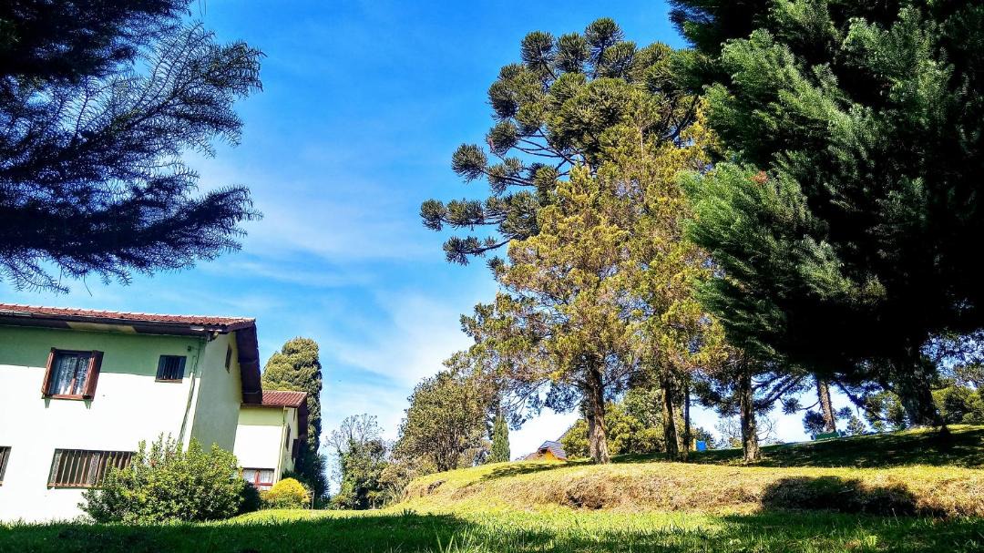 Photo of Others in Floresta
