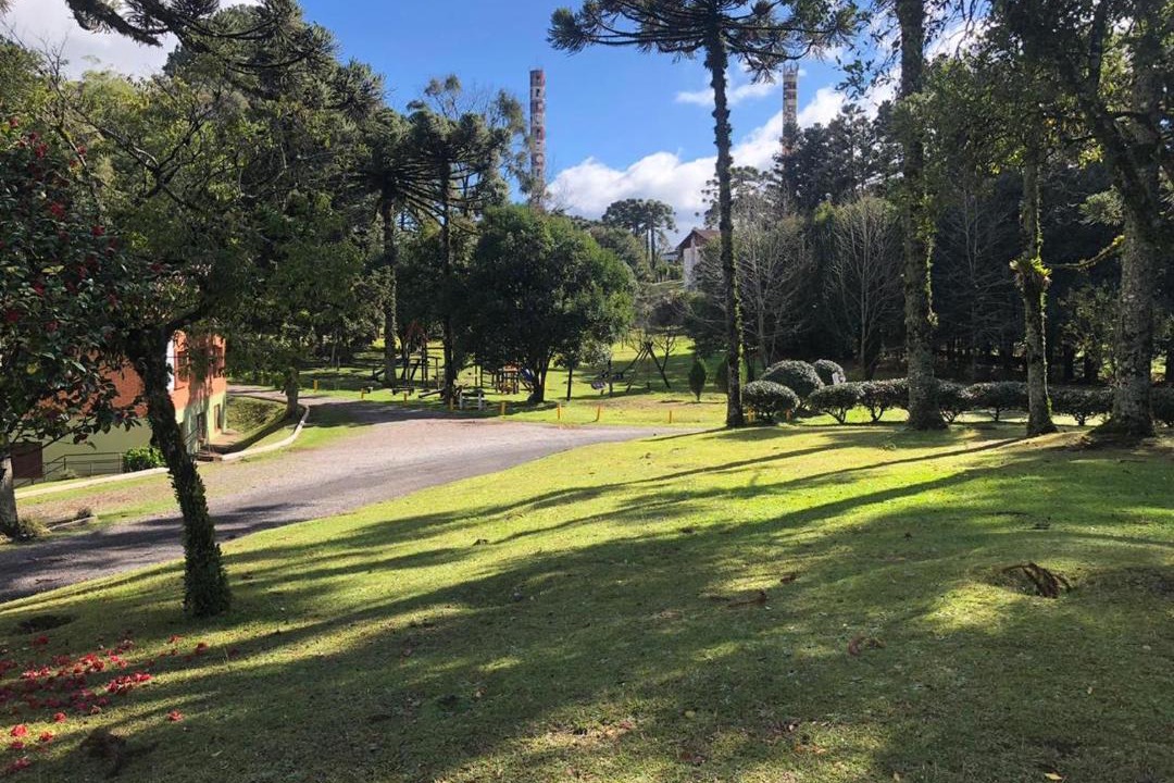 Photo of Others in Floresta