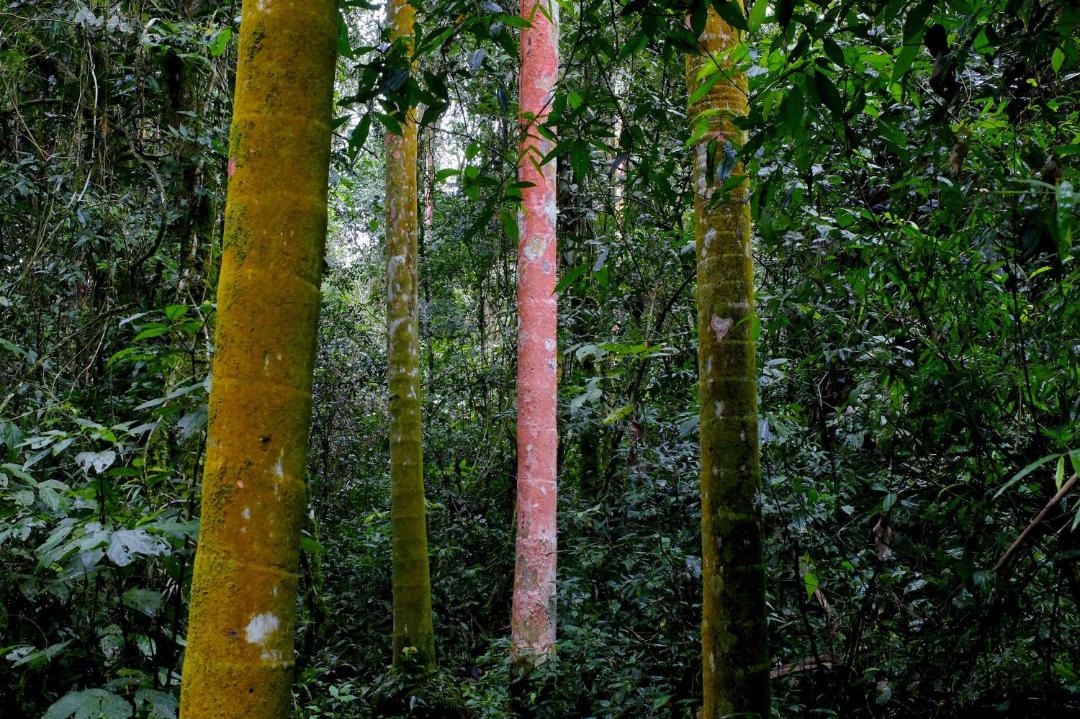 Photo of Others in El Soberbio