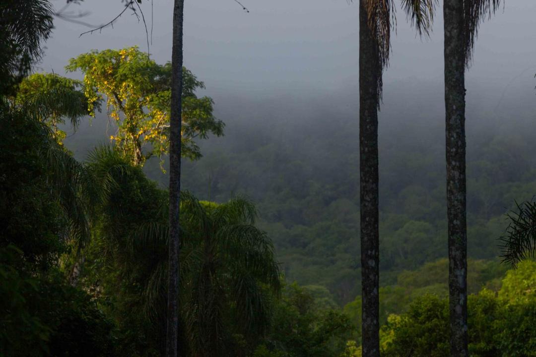 Photo of Others in El Soberbio