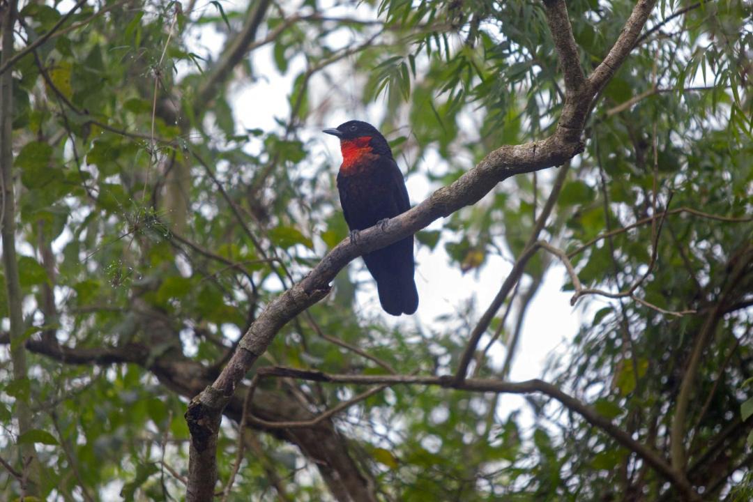 Photo of Others in El Soberbio