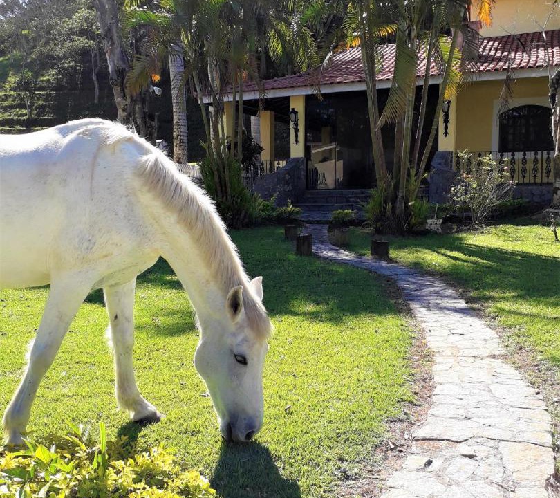 Photo of Outdoor in Pindamonhangaba