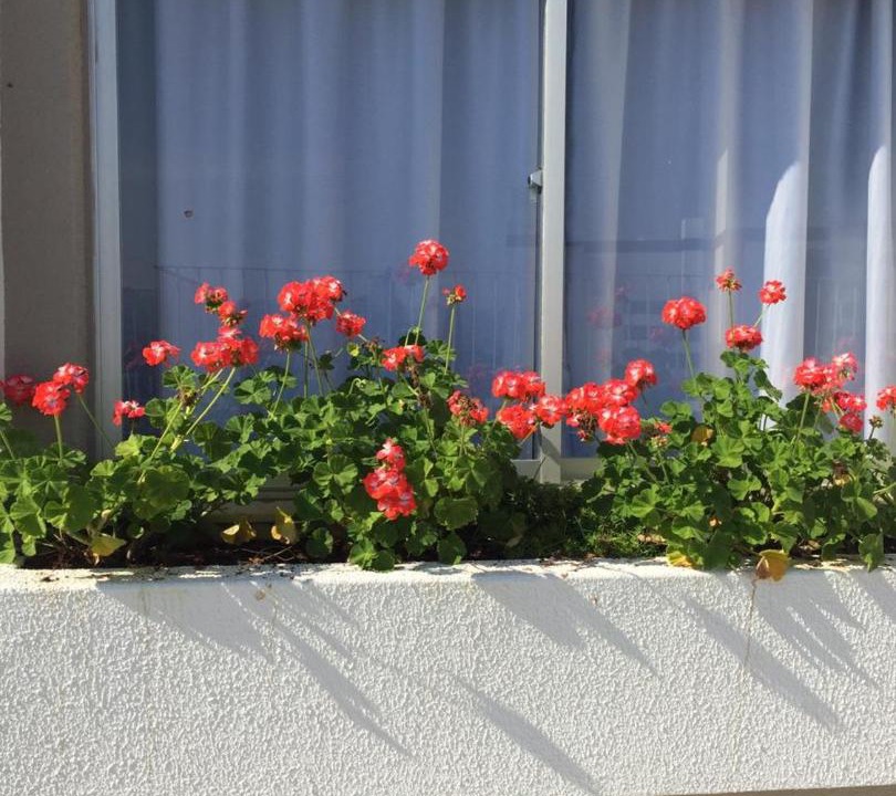 Photo of Others in Lages