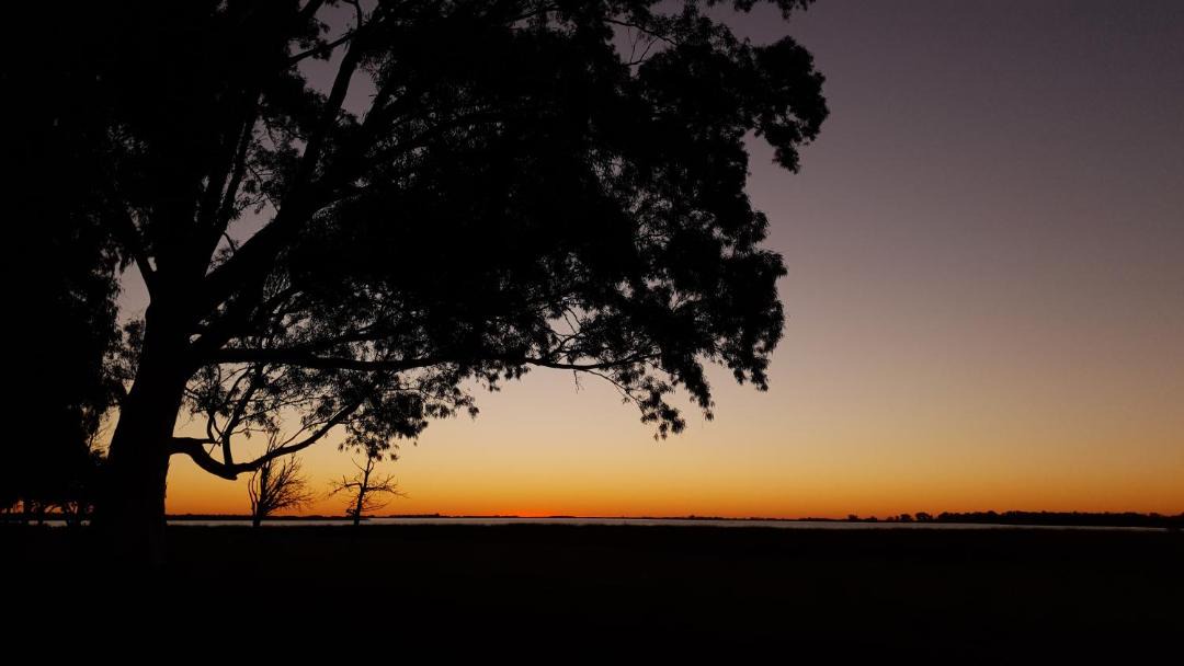 Photo of Others in Chascomus