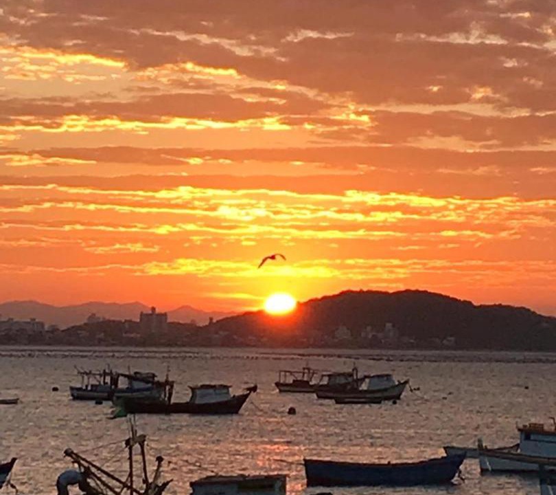 Photo of Others in Praia da Armacao do Itapocoroi