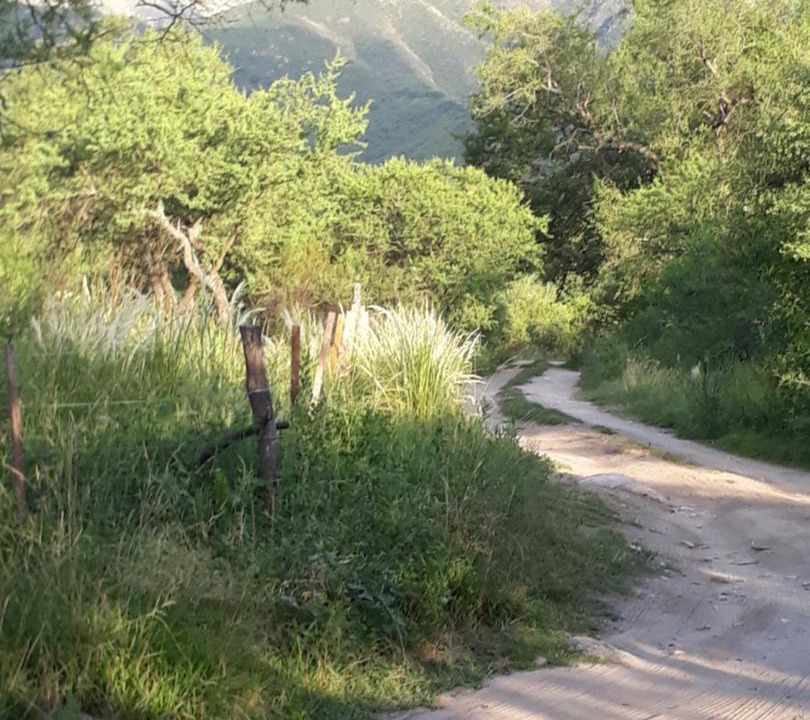 Photo of Others in Los Hornillos